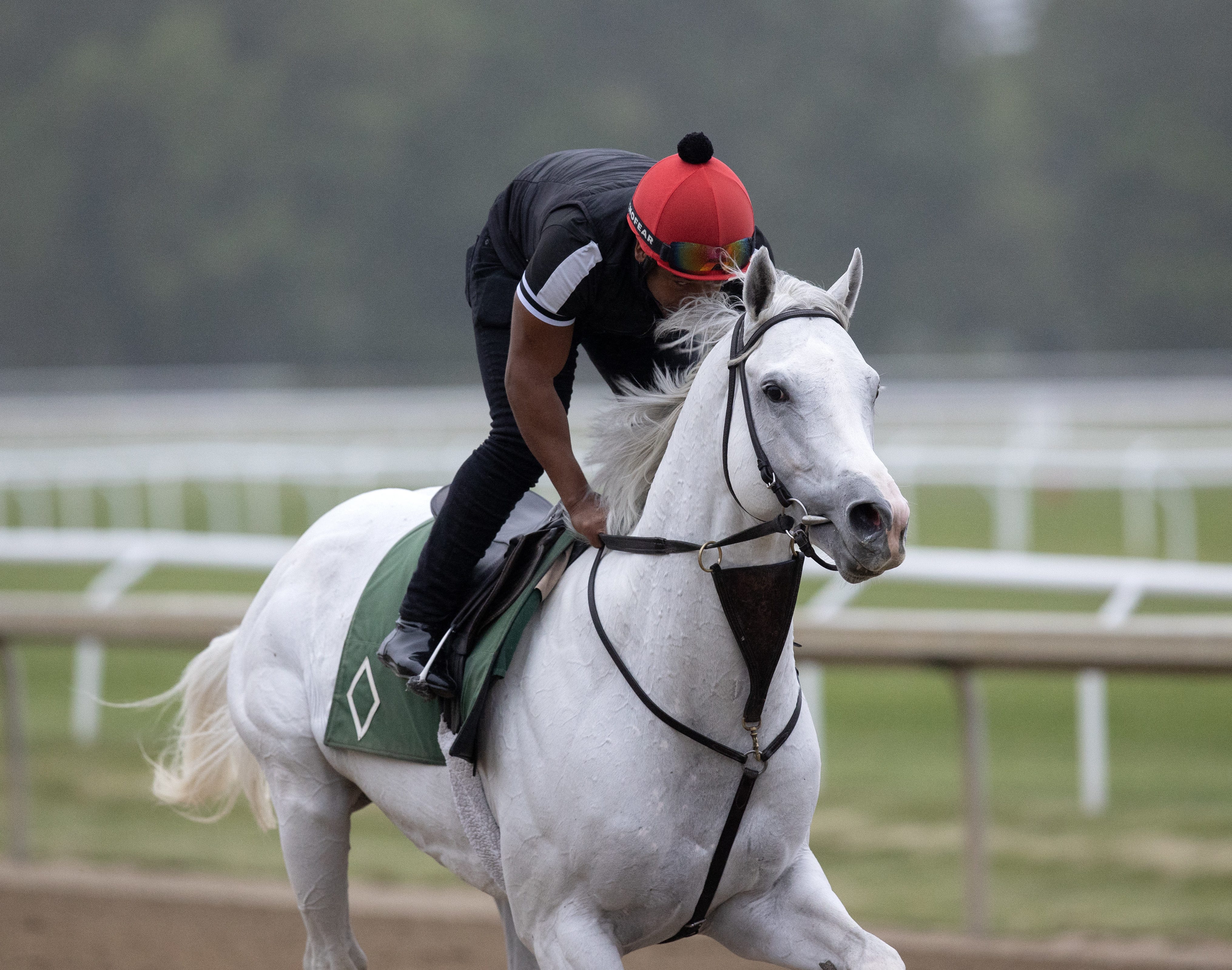 Whitney winner Arthur's Ride retired, cataloged for Keeneland